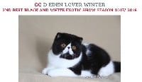 CH. d'eden lover N'winter