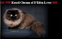 CH. kuorii Cinema of d'end lover