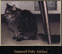 CH. Tanstaafl polly adeline of heidi ho