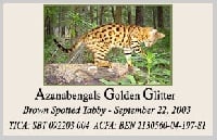 azanabengals Golden glitter (sbt 092203 004)