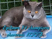 Epidaure d'ô champierre