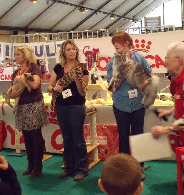 de la Loubiere - exposition de CHATEAUROUX 2011