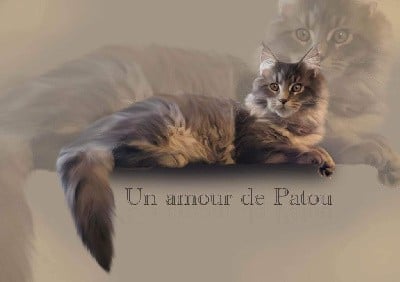 Un  Amour De Patou Sans Affixe