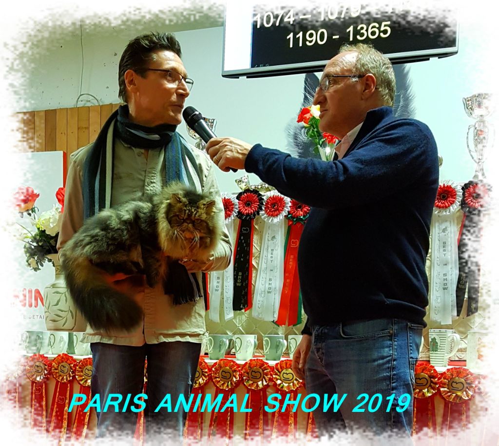 De La Maison Des Fees - Paris Animal Show janvier 2019