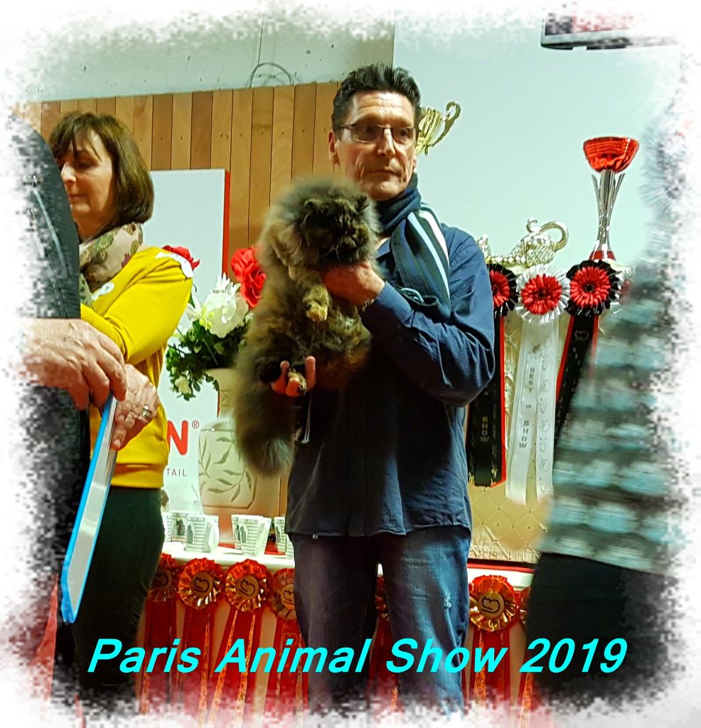 De La Maison Des Fees - Paris Animal Show janvier 2019