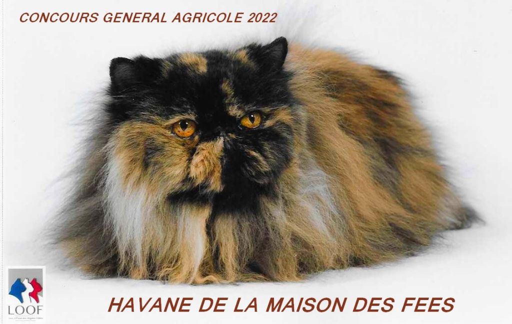 De La Maison Des Fees - SALON DE L' AGRICULTURE 2022