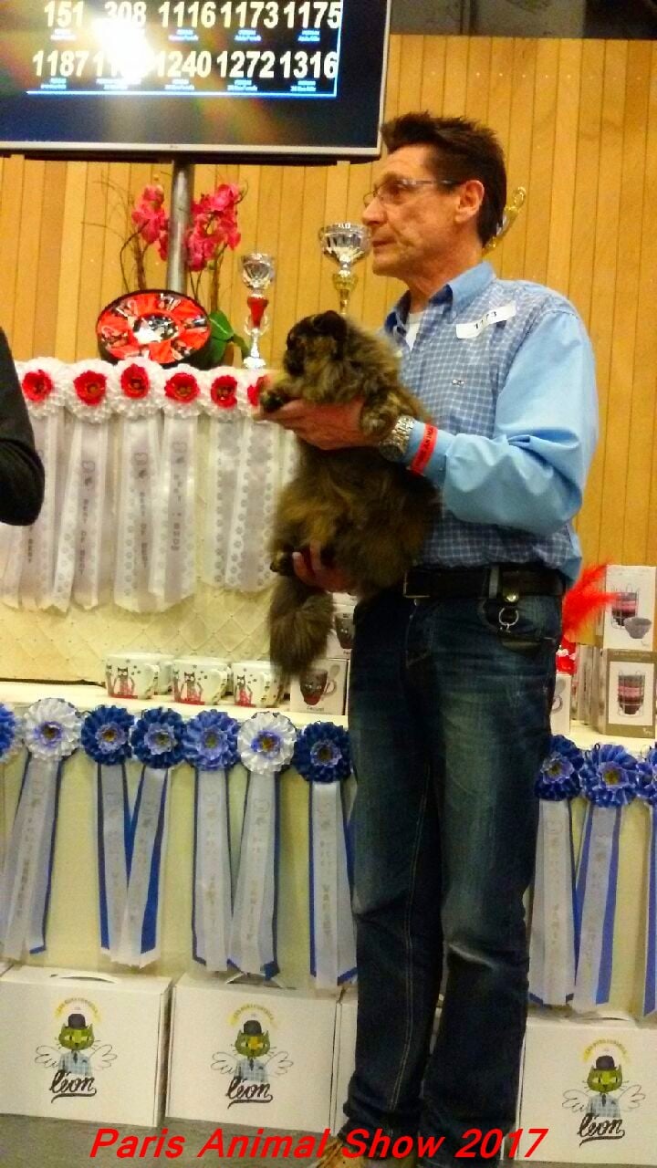 De La Maison Des Fees - Paris Animal Show janvier 2017