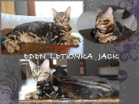 JACK DE L EDEN LETIONKA