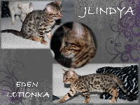 Jlindya de l'Eden Létionka