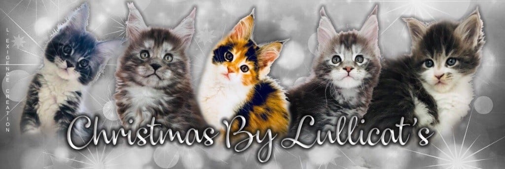 by Lullicat's - Christmas By Lullicat?s 