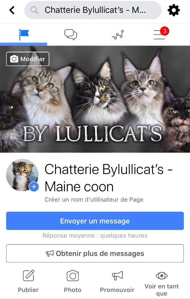 by Lullicat's - Suivez nous sur Facebook 