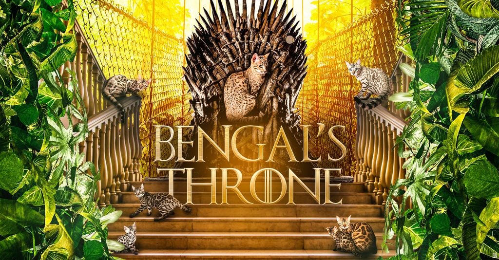 De Bengal’s Throne - Nouvelle bannière