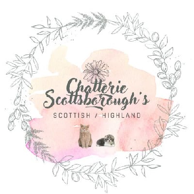 Scottsborough's 