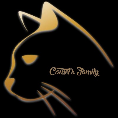 of camel's family