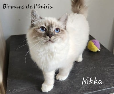 Unika De L'Oniria