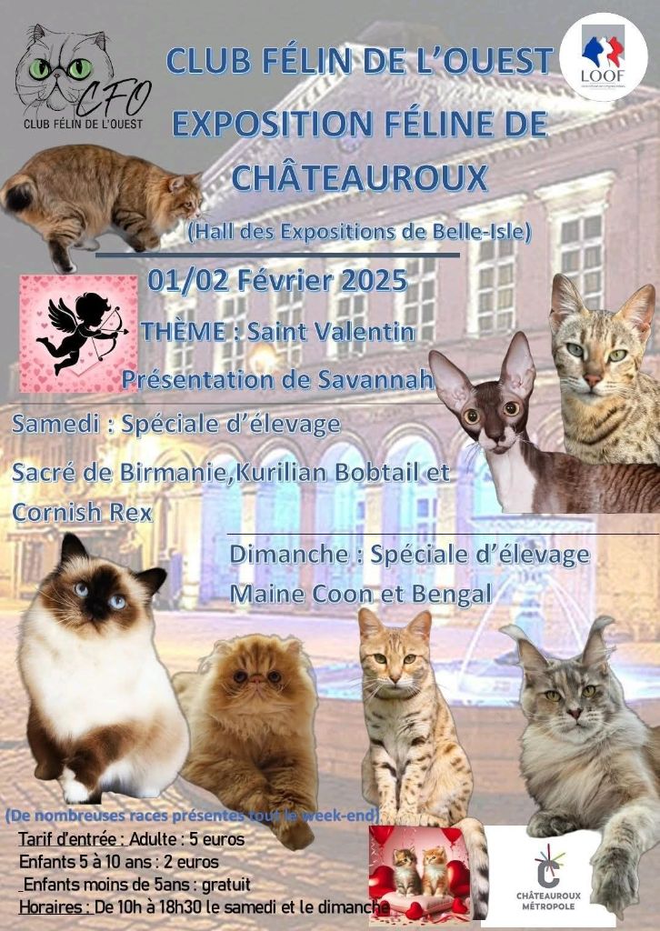 Des Falaises De Kevar - exposition LOOF à Chateauroux le 1er et 2 Février